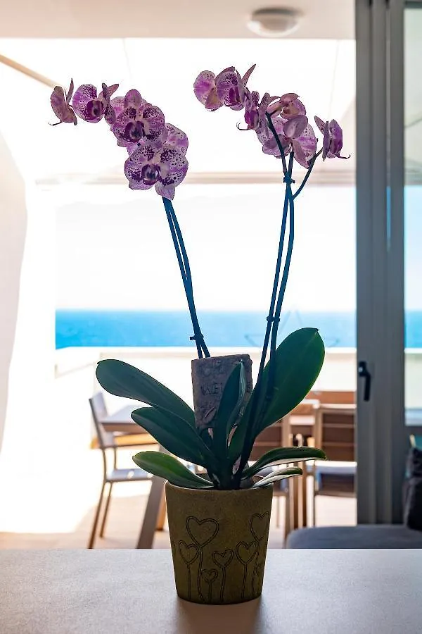 Wonderful Beach Apartment In Paradise Santa Cruz de Tenerife 0*,